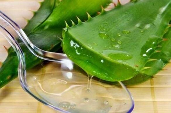 Aloe-Saft für starke Erektionen